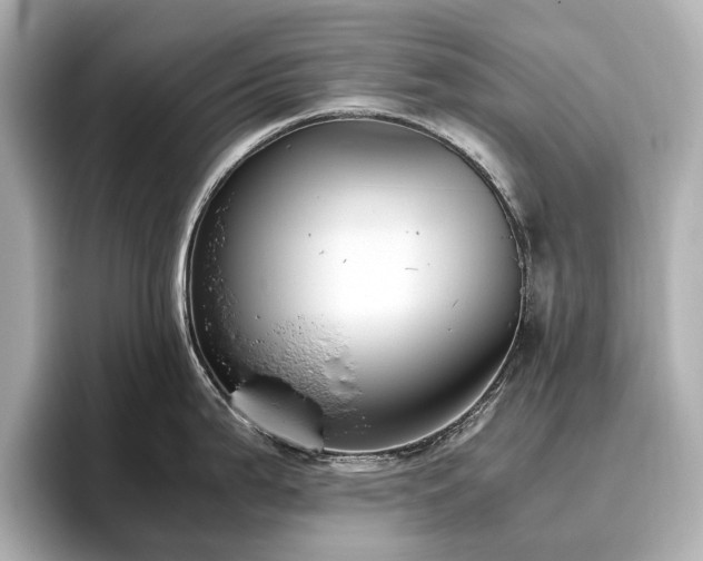 X0000096641199200802051122