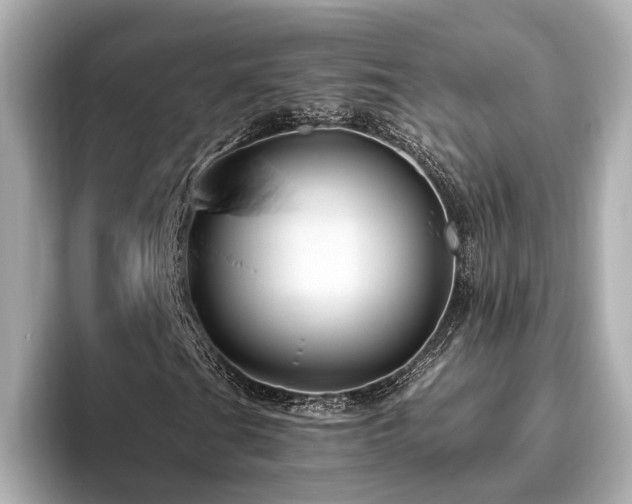 X0000096641201200802051121