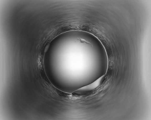X0000096641202200802051121