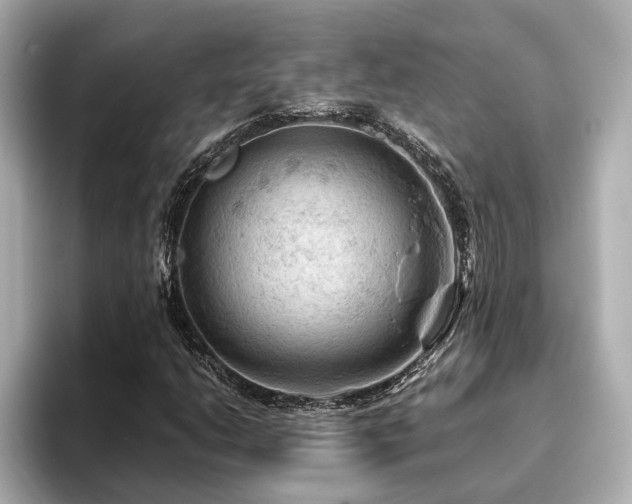 X0000096641206200802051121