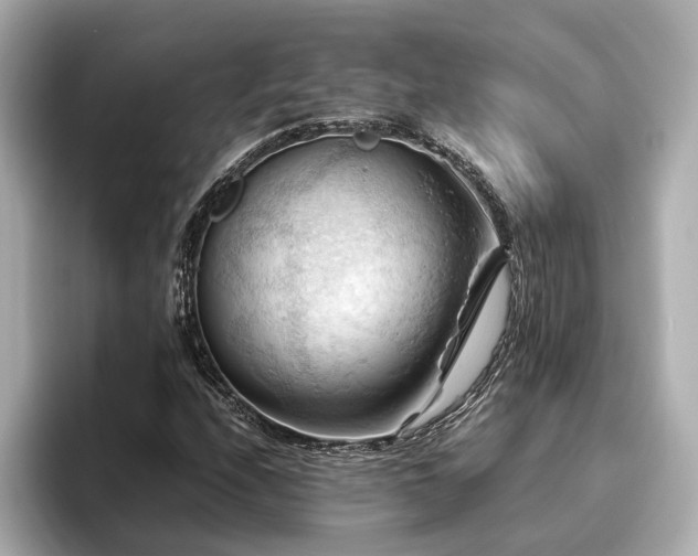 X0000096641208200802051121