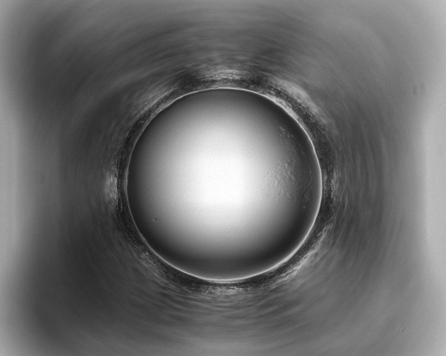 X0000096641209200802051121