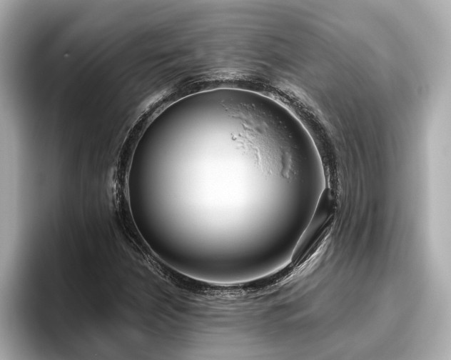 X0000096641210200802051121