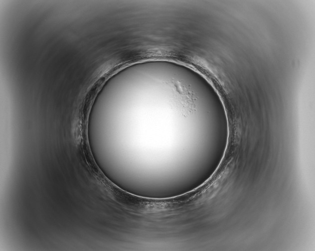 X0000096641211200802051121