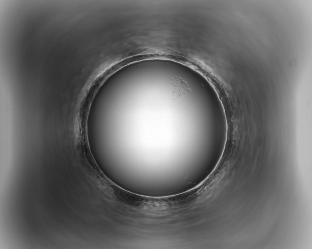 X0000096641215200802051121