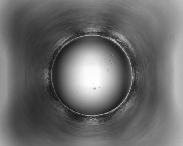 X0000096641217200802051121