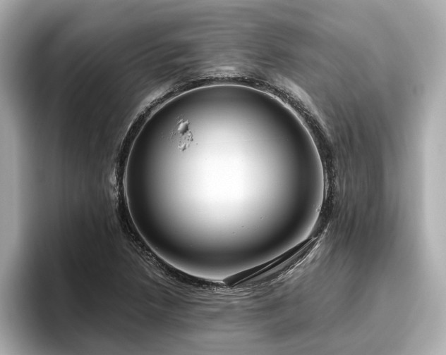 X0000096641218200802051121