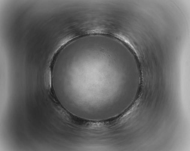 X0000096641219200802051121