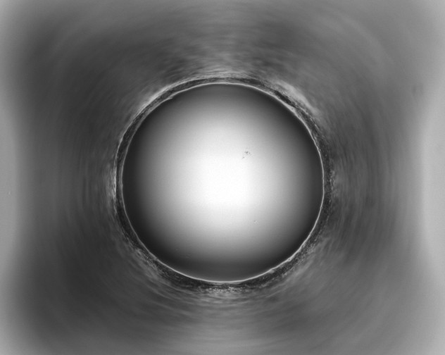 X0000096641220200802051121