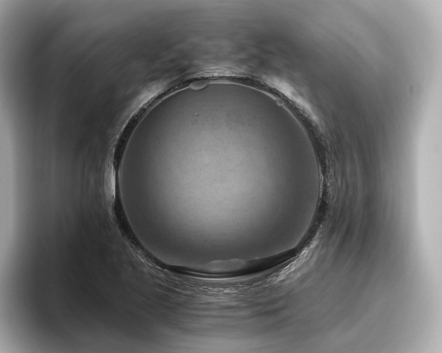 X0000096641221200802051121