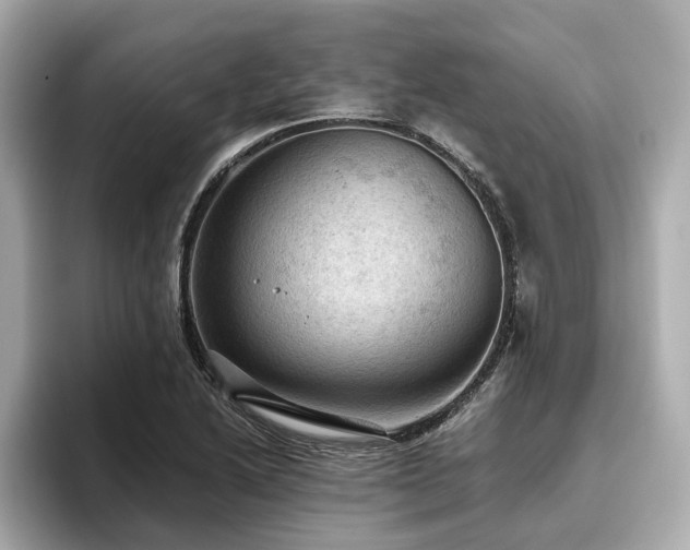 X0000096641222200802051121