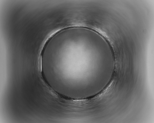 X0000096641223200802051121