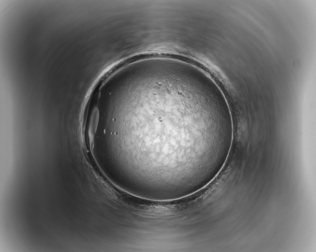 X0000096641224200802051121