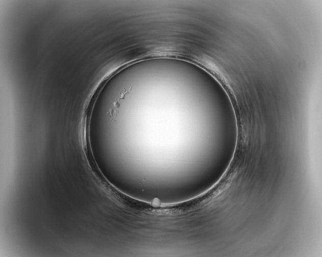 X0000096641227200802051121