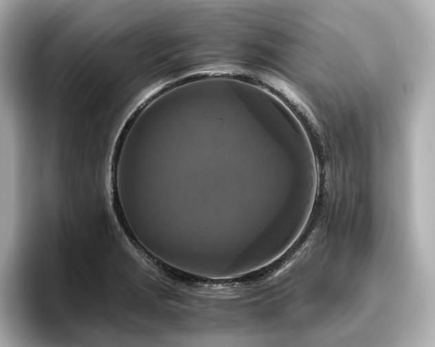 X0000096641229200802051121