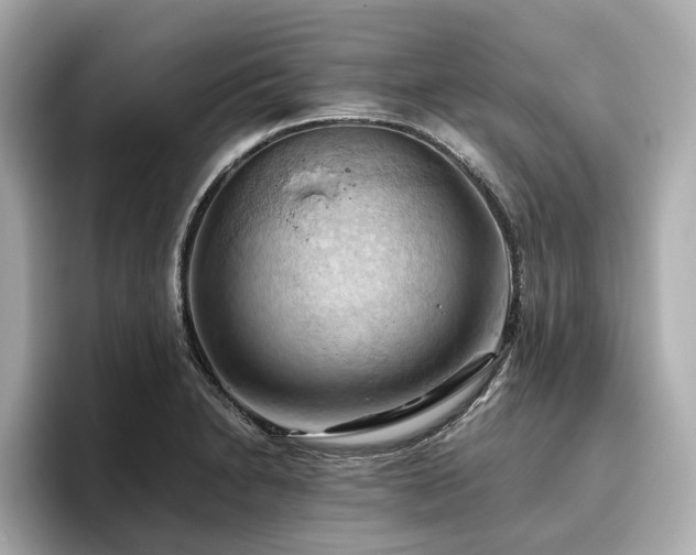 X0000096641230200802051121
