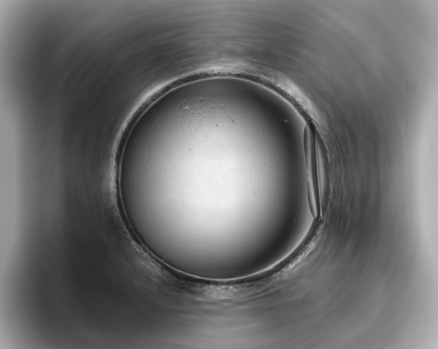 X0000096641232200802051121