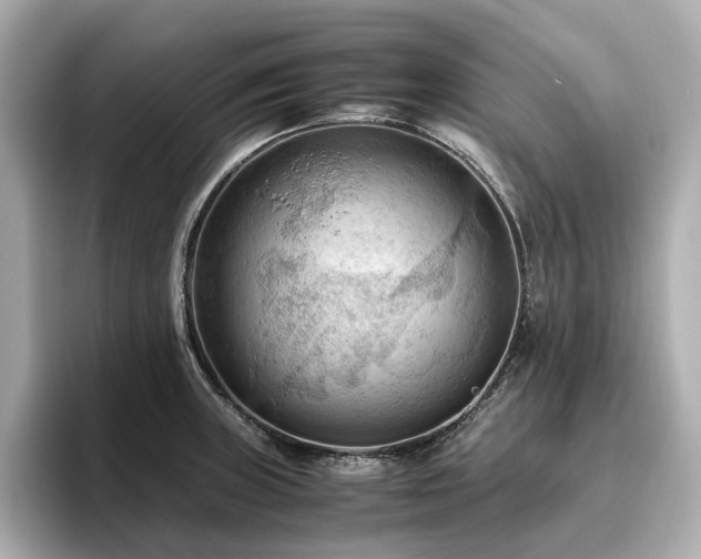 X0000096641235200802051121