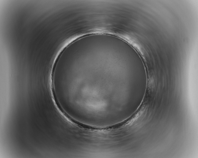 X0000096641239200802051121