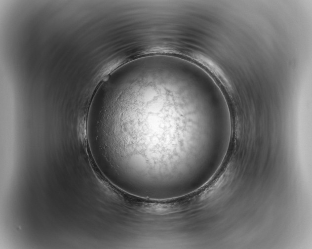 X0000096641241200802051121