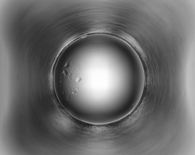 X0000096641242200802051121