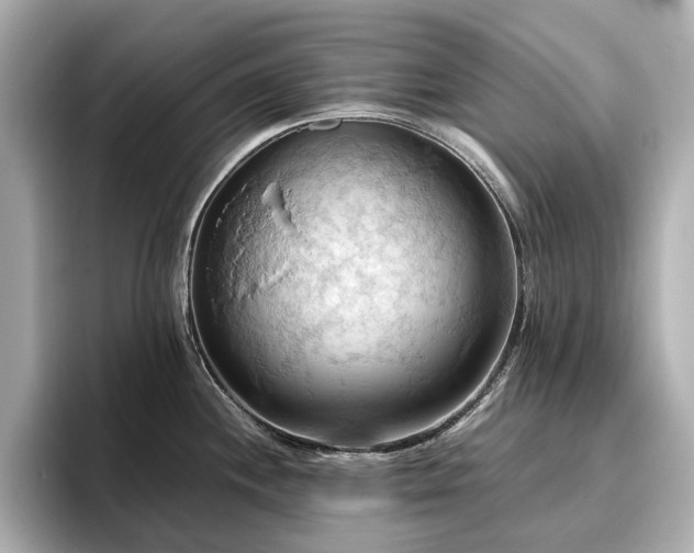 X0000096641244200802051121