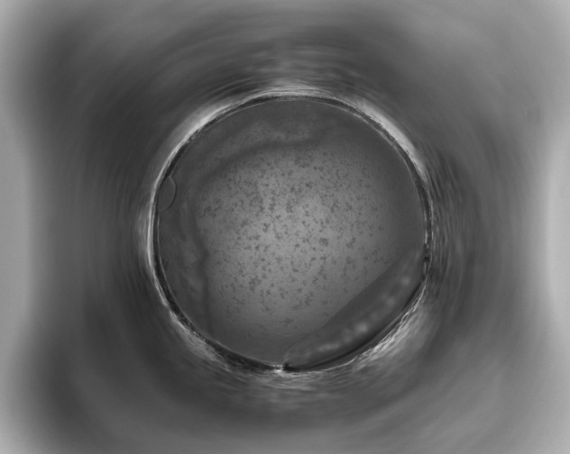 X0000096641245200802051121