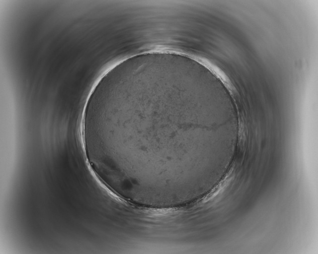 X0000096641247200802051121