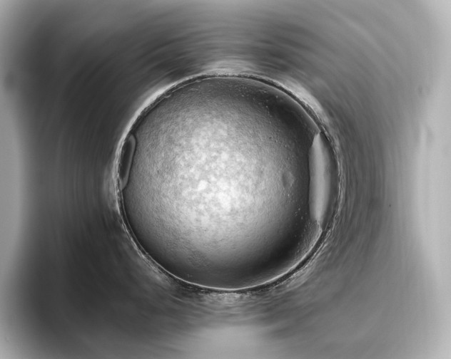 X0000096641248200802051121