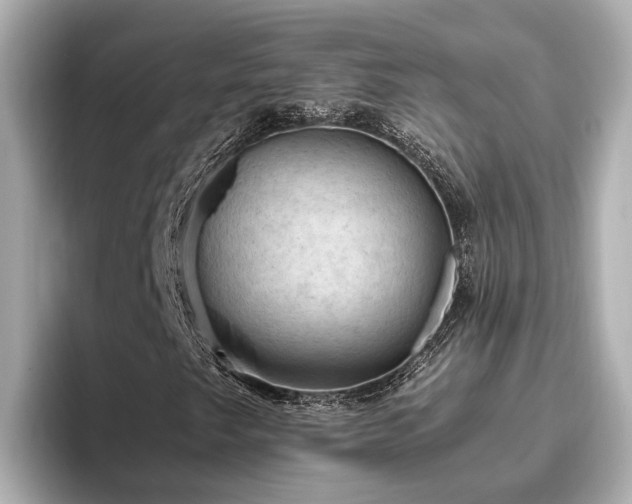 X0000096641249200802051121