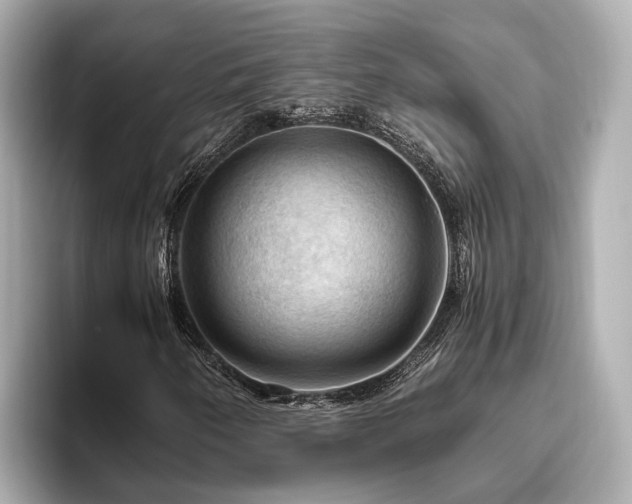 X0000096641250200802051121