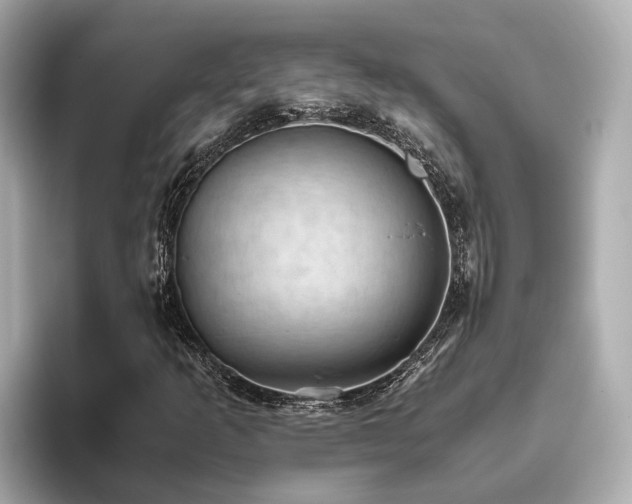 X0000096641253200802051121