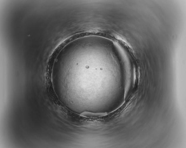 X0000096641256200802051121