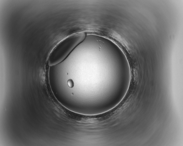 X0000096641260200802051121