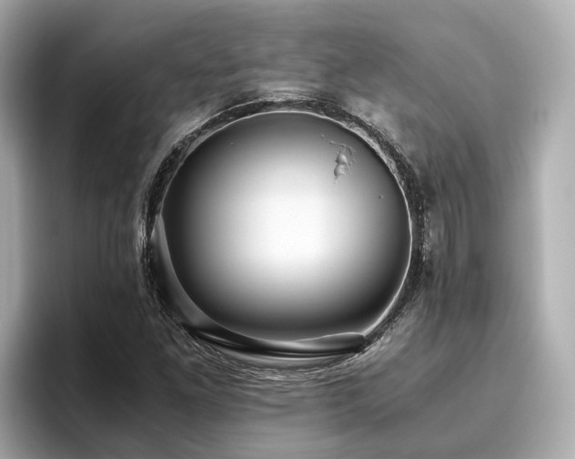 X0000096641261200802051121