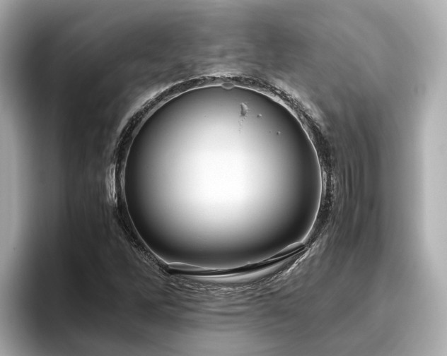 X0000096641262200802051120