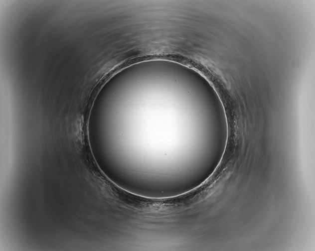 X0000096641265200802051120
