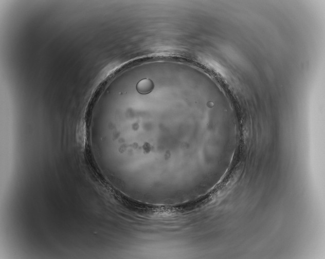 X0000096641267200802051120