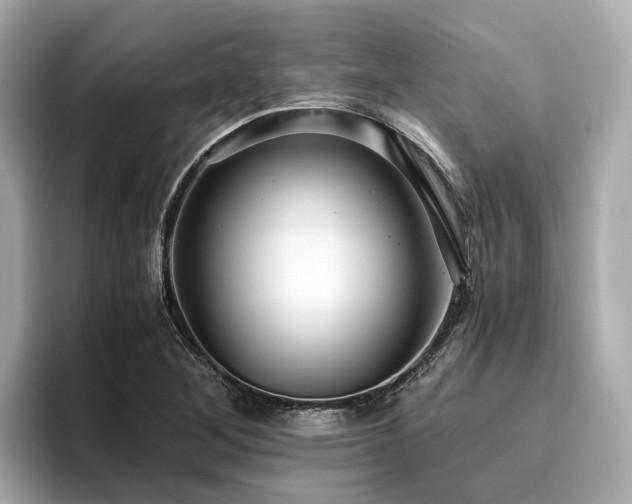 X0000096641268200802051120