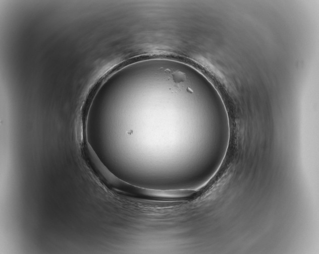 X0000096641269200802051120