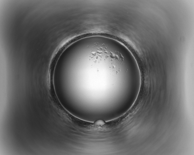 X0000096641270200802051120