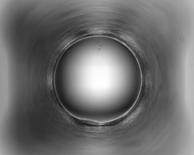 X0000096641273200802051120