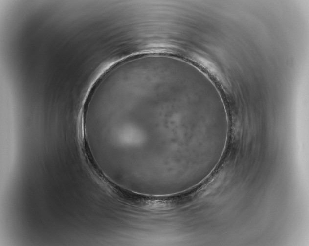 X0000096641275200802051120