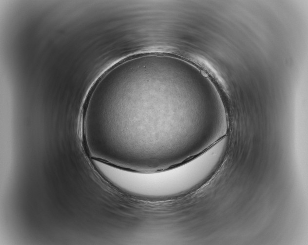 X0000096641276200802051120