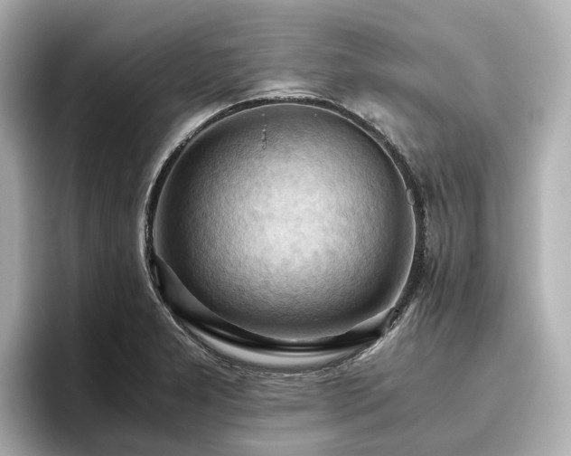 X0000096641277200802051120