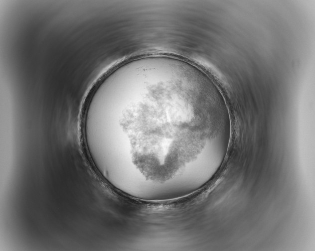 X0000096641278200802051120