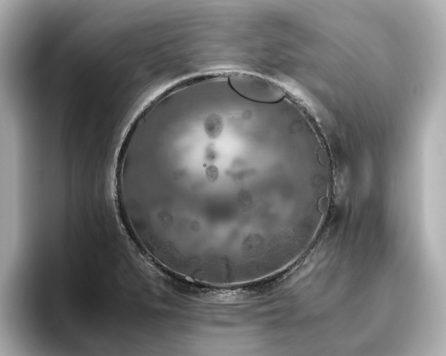 X0000096641279200802051120