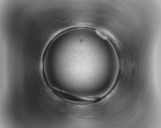 X0000096641280200802051120
