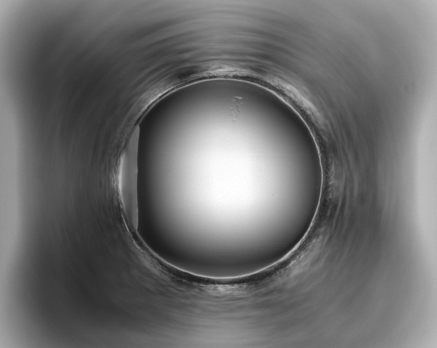 X0000096641281200802051120