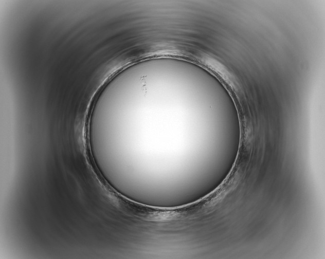 X0000096641282200802051120